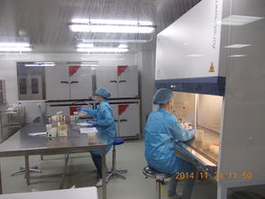Intertek成功備案特殊食品驗證評價技術(shù)機(jī)構(gòu)，助推行業(yè)高質(zhì)量發(fā)展